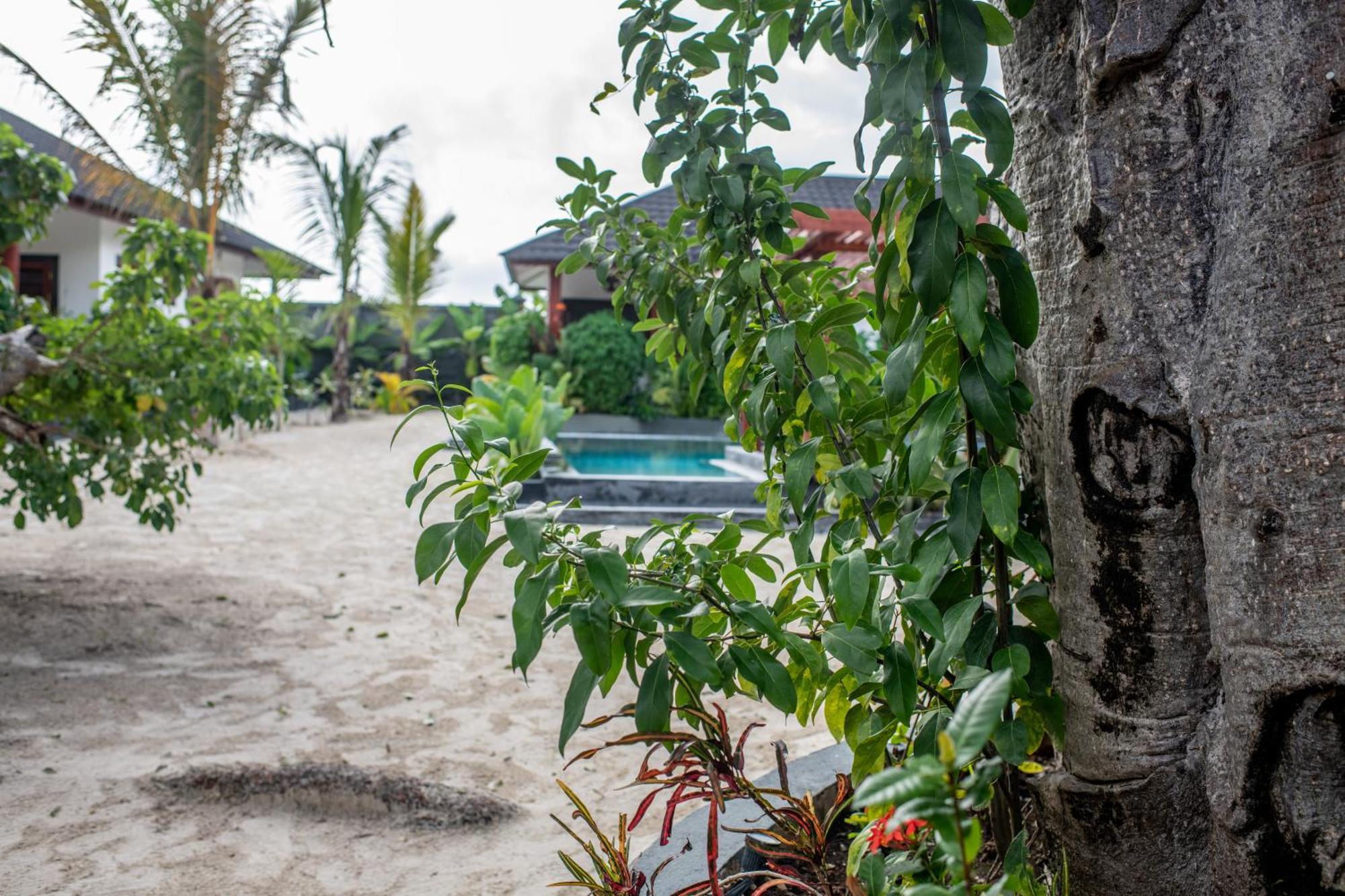 Baobab Bungalows Jambiani  Ngoại thất bức ảnh