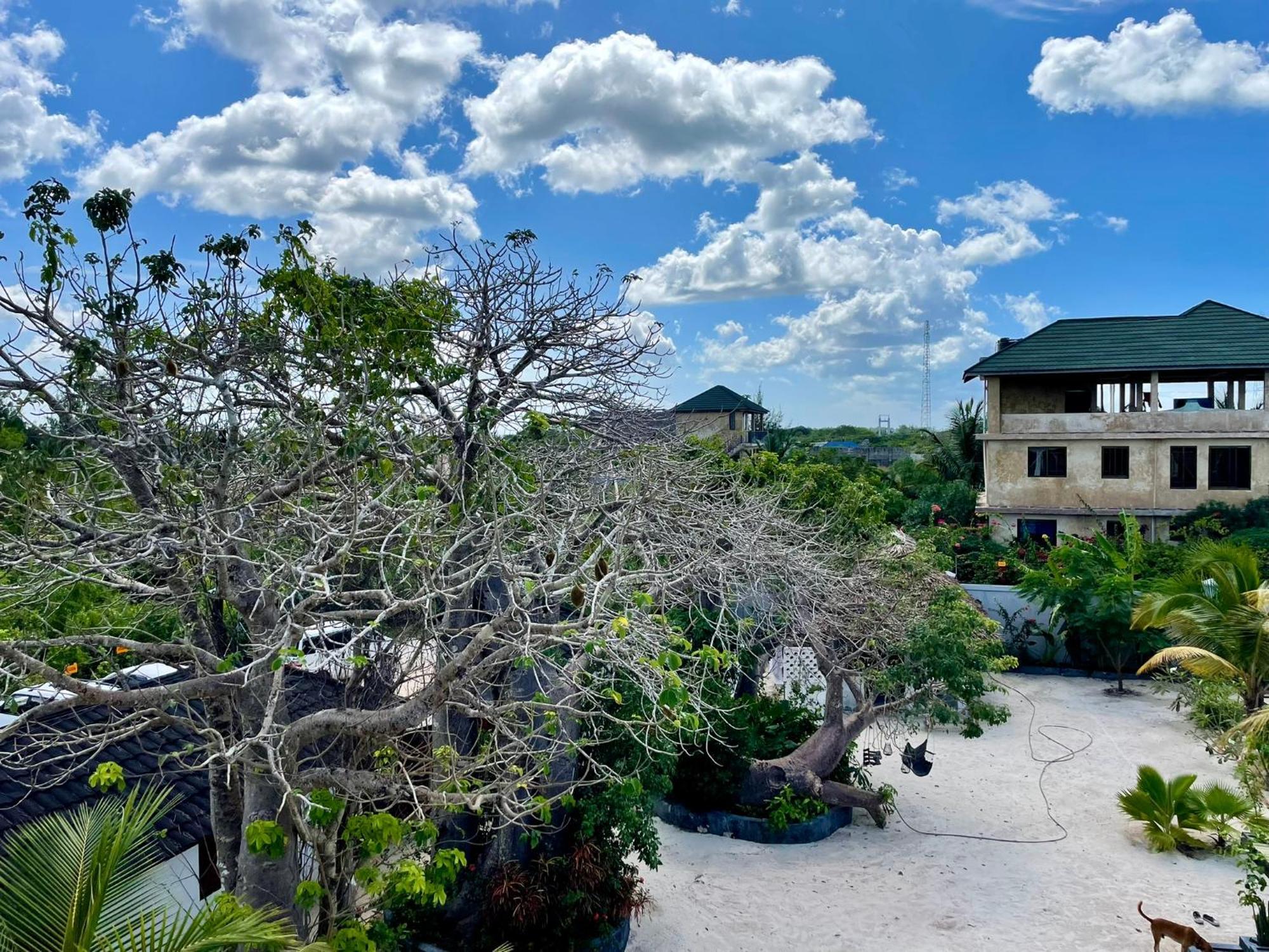 Baobab Bungalows Jambiani  Ngoại thất bức ảnh